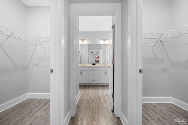 spacious closet with light wood-type flooring