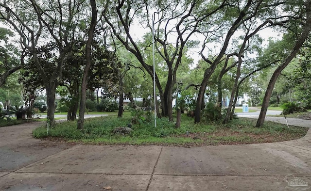4436 Soundside Dr, Gulf Breeze, FL 32563 - view of yard