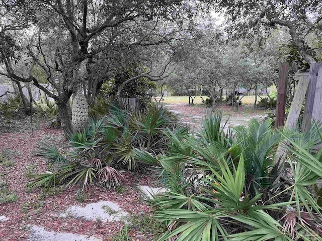4436 Soundside Dr, Gulf Breeze, FL 32563 - view of yard