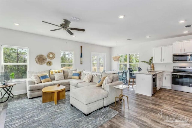 living room featuring wood-type flooring, sink, plenty of natural light, and ceiling fan