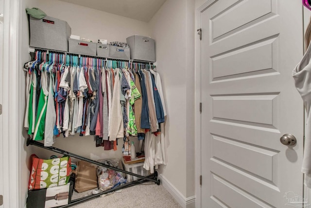 walk in closet with carpet floors