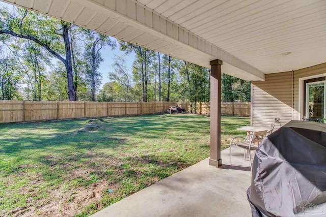 view of yard with a patio area and a fenced backyard