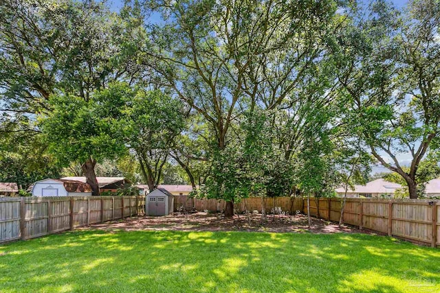 view of yard with a shed