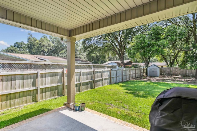 view of yard featuring a storage unit and a patio area