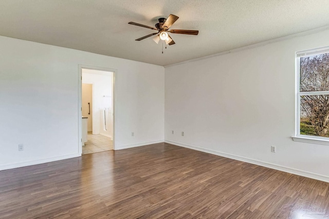 unfurnished room featuring a textured ceiling, ceiling fan, a wealth of natural light, and wood-type flooring