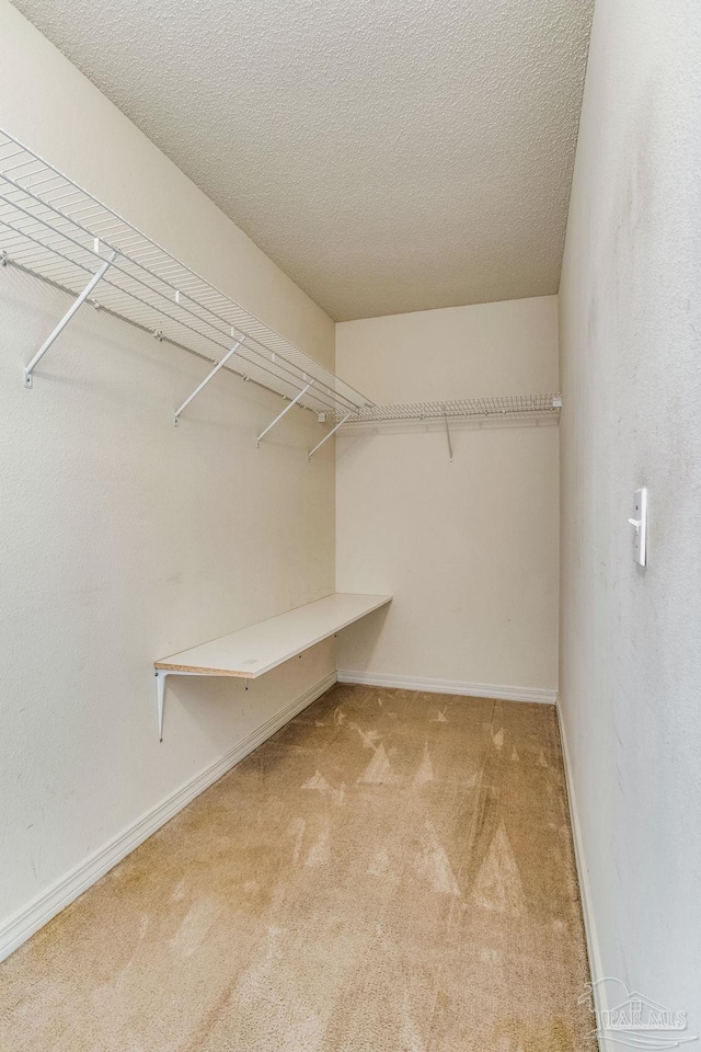 walk in closet with light colored carpet