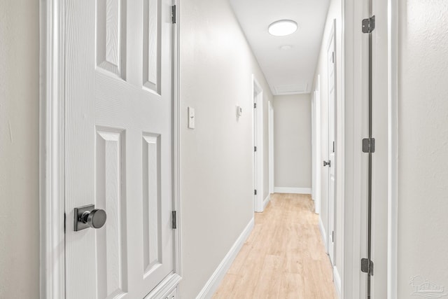 corridor with light wood-type flooring