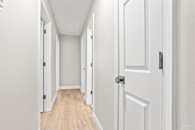 corridor with light wood-type flooring