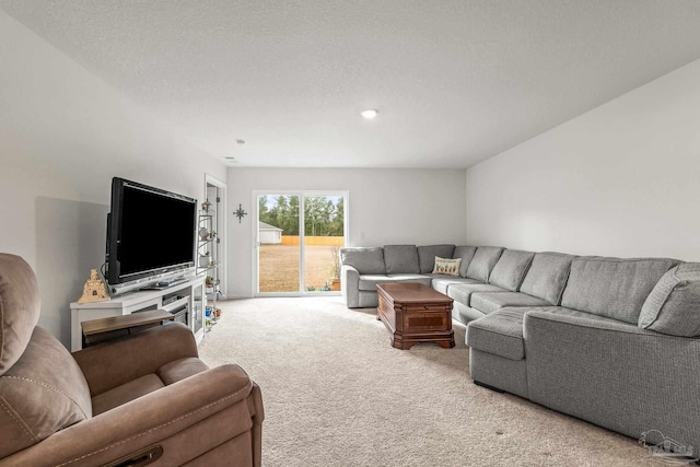 carpeted living room featuring a textured ceiling