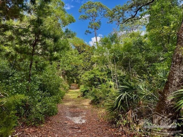 9517 Lorikeet Ln, Pensacola, FL 32507