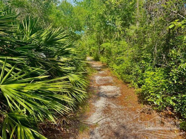9517 Lorikeet Ln, Pensacola, FL 32507
