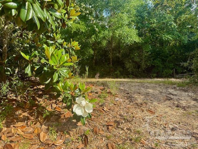 9517 Lorikeet Ln, Pensacola, FL 32507