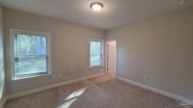 empty room featuring light colored carpet and a healthy amount of sunlight