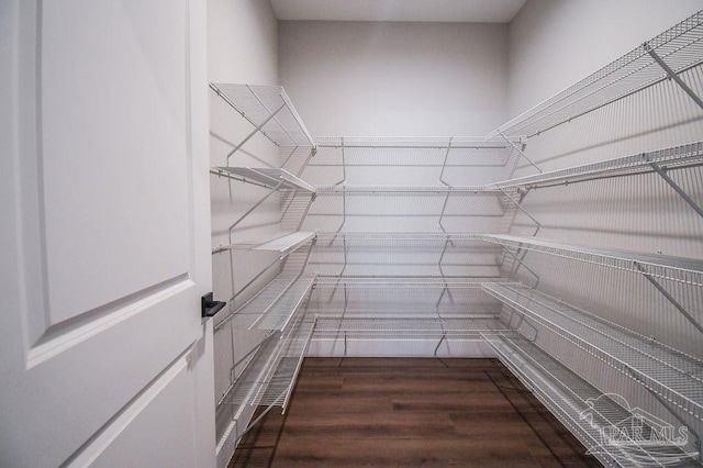 walk in closet with wood-type flooring