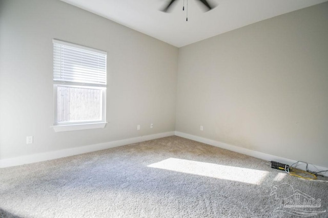 spare room featuring ceiling fan and carpet floors