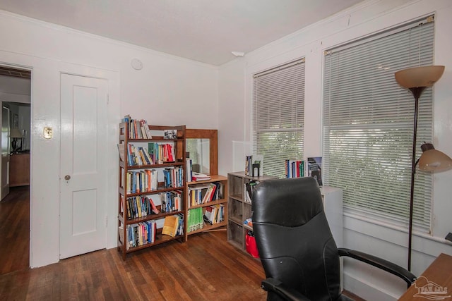 office space with dark hardwood / wood-style flooring and crown molding