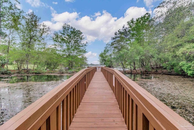 dock area with a water view