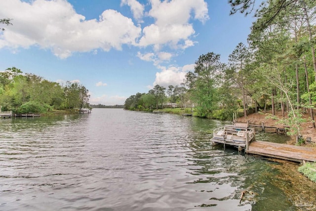 dock area with a water view