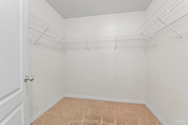 spacious closet with carpet flooring