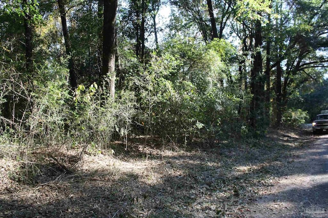 0000 Pleasant Grove Rd, Milton FL, 32570 land for sale