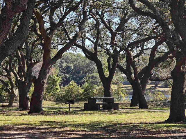 view of home's community