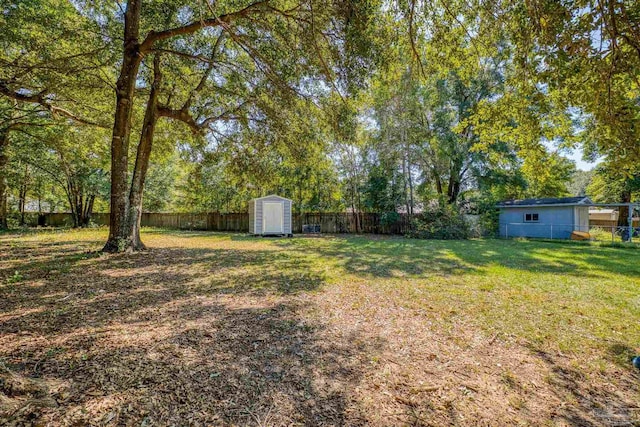 view of yard featuring a storage unit