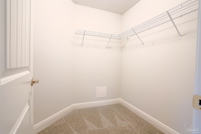 walk in closet featuring carpet flooring