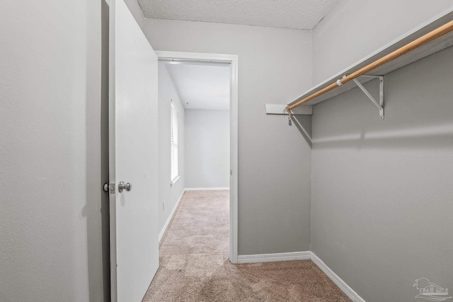 spacious closet featuring light carpet