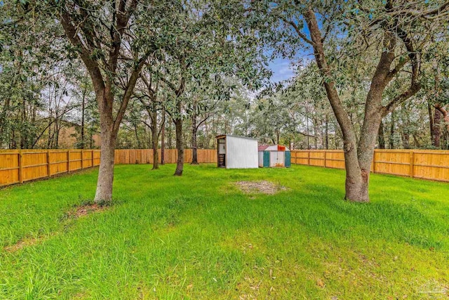 view of yard with a storage unit