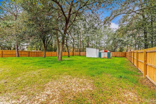 view of yard featuring a shed