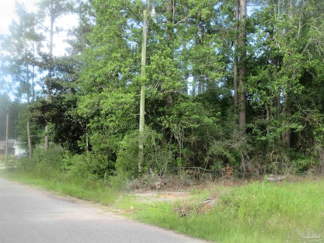 Summer St, Milton, FL 32583