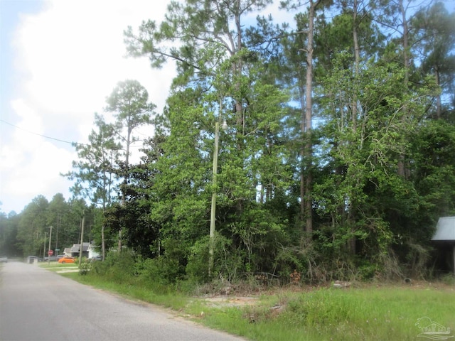 Summer St, Milton, FL 32583