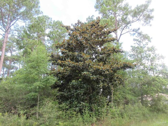 Summer St, Milton, FL 32583