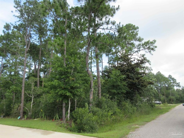 Summer St, Milton, FL 32583