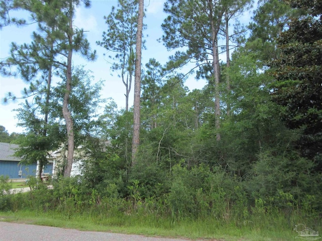 Summer St, Milton, FL 32583