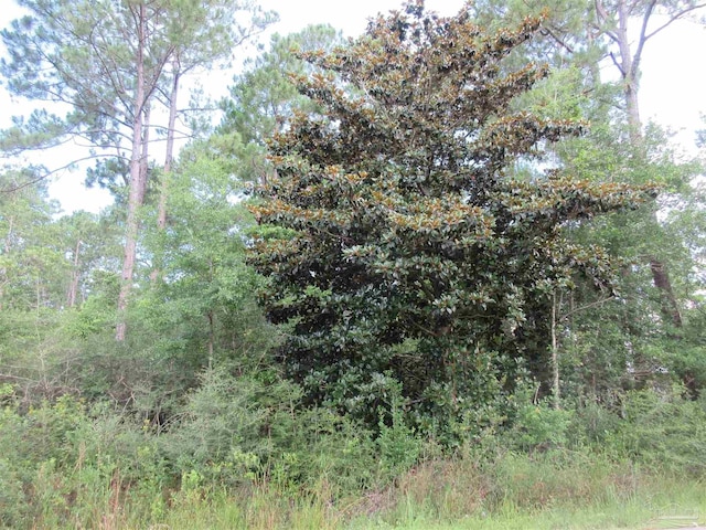 Summer St, Milton, FL 32583