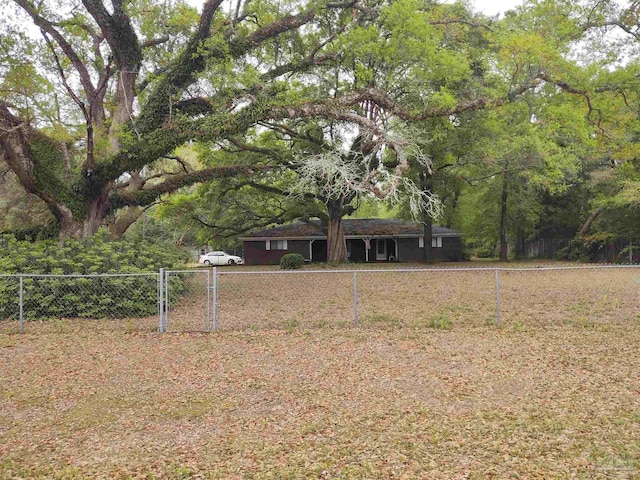 view of yard with a fenced front yard and a gate