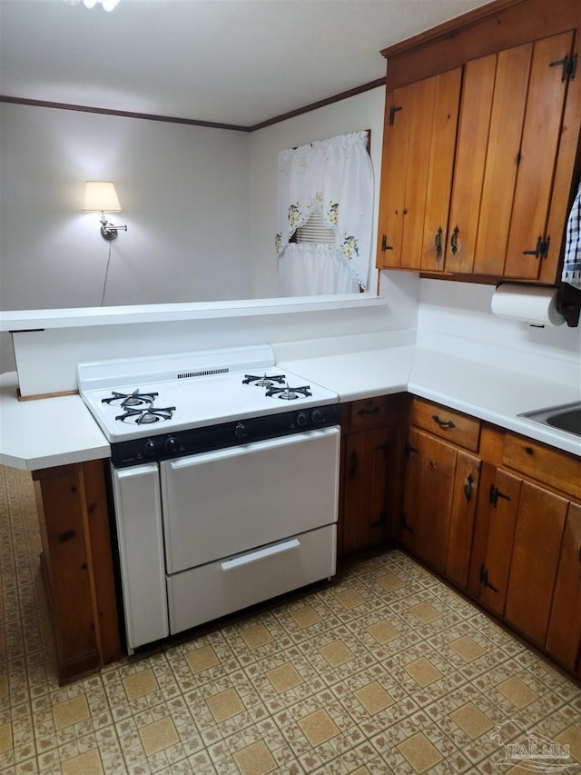 kitchen featuring ornamental molding, white gas range, and sink