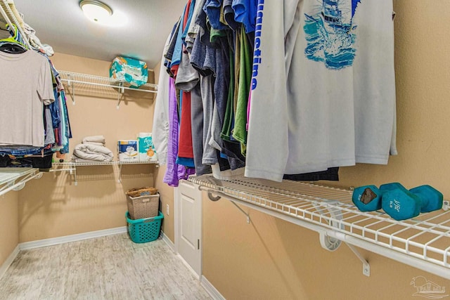 walk in closet with hardwood / wood-style flooring