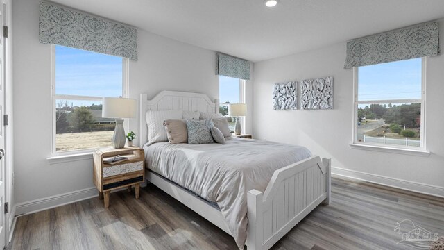 bedroom featuring baseboards, multiple windows, and wood finished floors