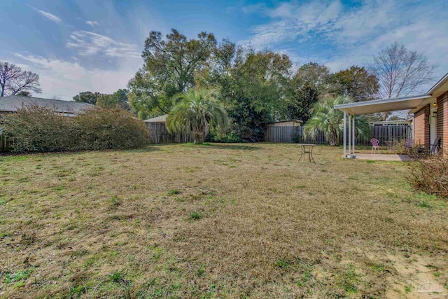 view of yard featuring a patio area