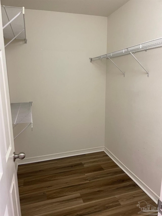 walk in closet with dark hardwood / wood-style floors