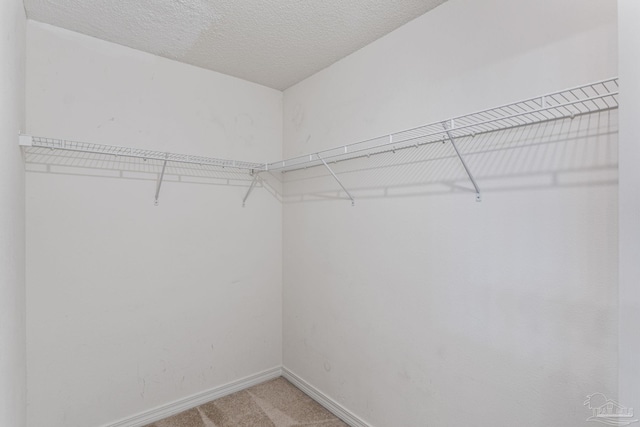 spacious closet featuring light colored carpet