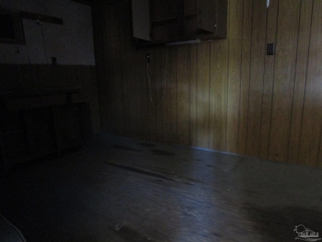 basement with wooden walls