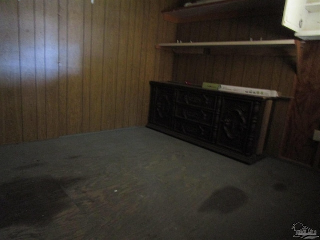 basement with wooden walls