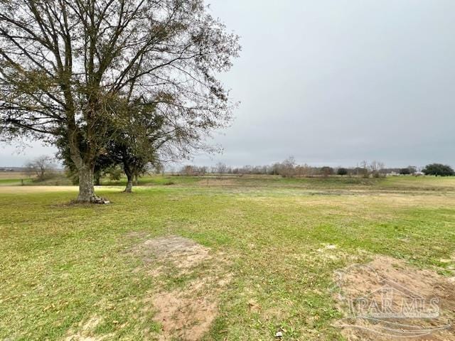 view of yard featuring a rural view