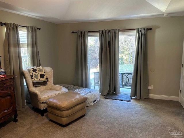 living area with light colored carpet and a raised ceiling