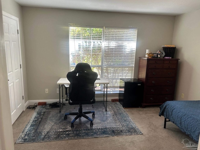 bedroom with light colored carpet and a closet