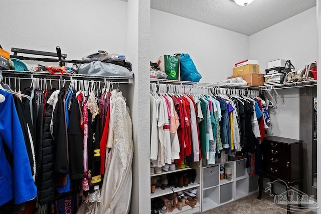 walk in closet featuring carpet flooring