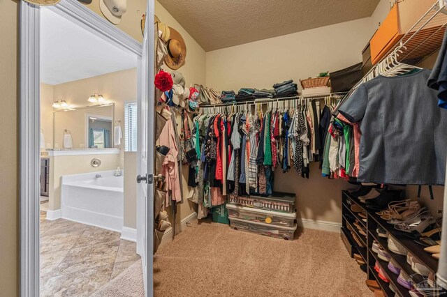 8847 Salt Grass Dr, Pensacola, FL 32526 - view of spacious closet